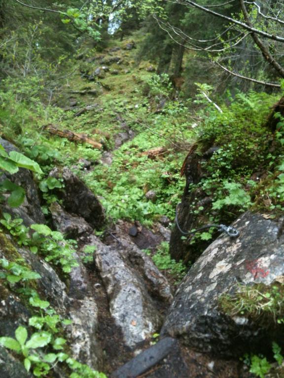 Ferienwohnungen Neukirchen Neukirchen am Teisenberg Exterior foto